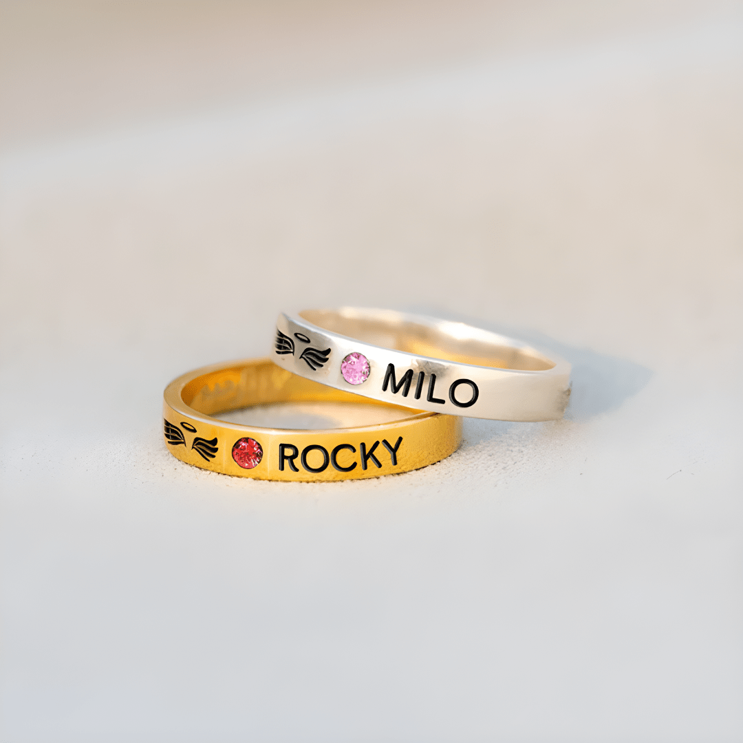 Anillo Alas Eternas - vittoria stile